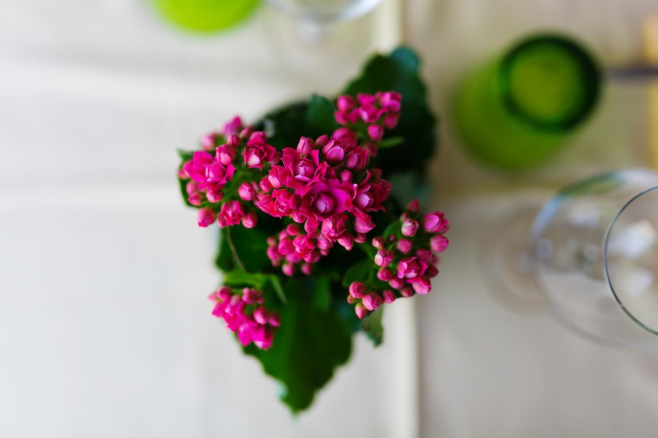 Relais Il Pennino Bed & Breakfast มัสซาลูเบรนเซ ภายนอก รูปภาพ